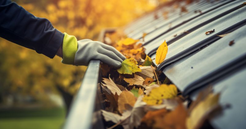 Fall Siding Service