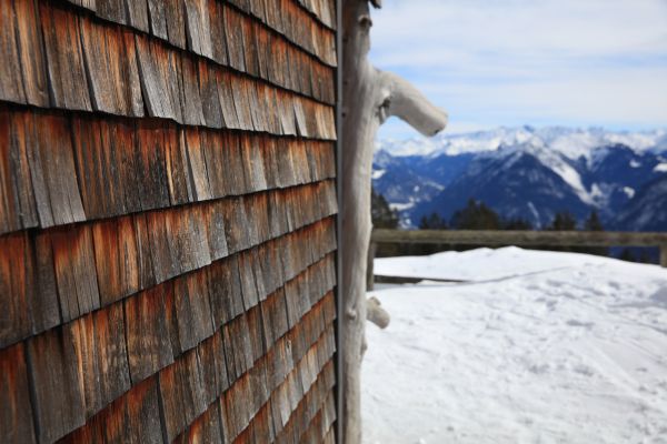 Cost of Cedar Siding Repair in Chillicothe