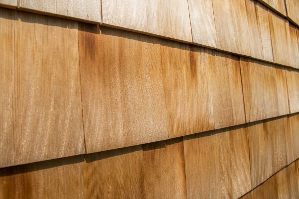 Cost of Cedar Siding Replacement in Chillicothe