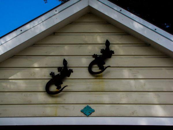 Cost of Shiplap Siding Installation in Chillicothe
